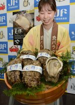 鳥取港で水揚げされた天然イワガキ「夏輝」＝２日、鳥取県庁