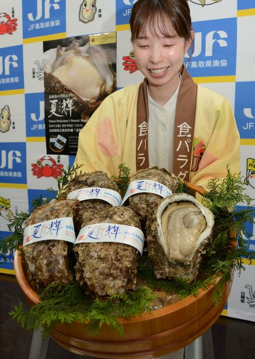 鳥取港で水揚げされた天然イワガキ「夏輝」＝２日、鳥取県庁