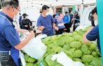 軽トラックに積んだキャベツを販売する関係者＝２５日、豊岡市日高町栗栖野の道の駅神鍋高原
