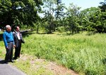 県が２年間かけてクロマツを植栽する国有地＝米子市和田町の国道４３１号沿い