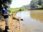 防災重点ため池の点検をする県ため池サポートセンターの職員＝６月２９日、南部町福成（同センター提供）