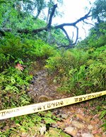 深浦側登城口から本丸に続く登城路をふさぐ倒木＝２７日、米子市久米町