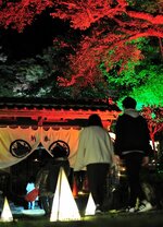 ライトアップされた紅葉と暗闇に揺らめくあんどんが並ぶ参道＝１９日、鳥取市国府町奥谷の国史跡鳥取藩主池田家墓所