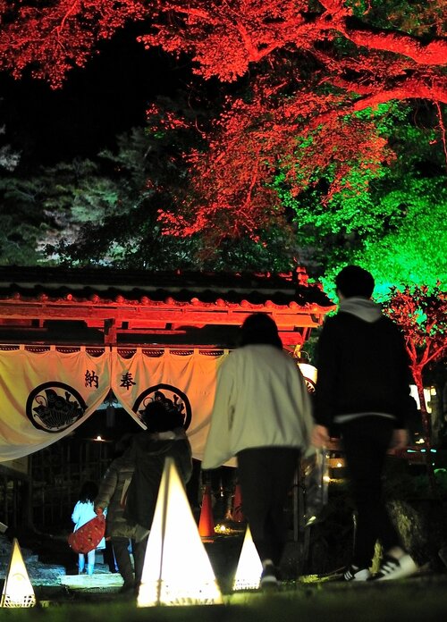 ライトアップされた紅葉と暗闇に揺らめくあんどんが並ぶ参道＝１９日、鳥取市国府町奥谷の国史跡鳥取藩主池田家墓所