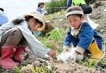 苗木を丁寧に植える園児たち