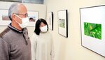 色鮮やかな作品が並ぶ展示会場