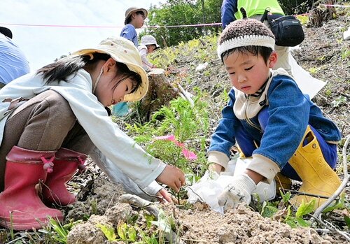 苗木を丁寧に植える園児たち