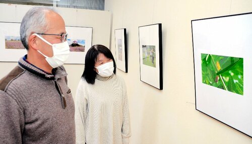 色鮮やかな作品が並ぶ展示会場