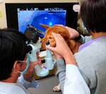 犬の眼科診療の様子（山下准教授提供）
