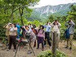 大山北壁を望む寂静山山頂で、野鳥の姿を探す参加者＝１９日、大山町大山