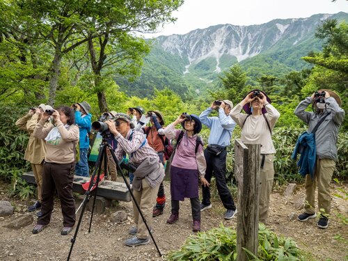 大山北壁を望む寂静山山頂で、野鳥の姿を探す参加者＝１９日、大山町大山