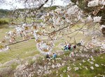 ２日、南部町法勝寺