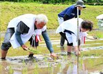 星空舞を丁寧に手植えする吉田さん夫妻＝１７日、三朝町小河内