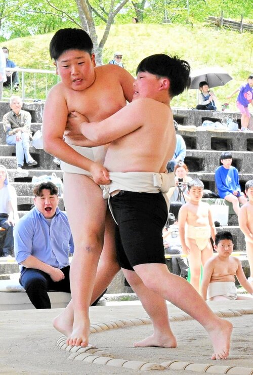 【のこったのこった】　土俵際の攻防。軍配はどっち！？