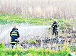 風にあおられて燃え広がった草火災の消火に当たる消防隊員＝１２日、鳥取市河原町