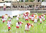 舞台で「神田代舞」が奉納される中、田植えを行う替植女＝１４日、大阪市住吉区の住吉大社