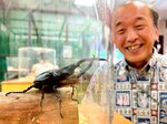 童心に帰ってカブトムシを見つめる宮脇町長＝２１日、鳥取県湯梨浜町の中国庭園燕趙園