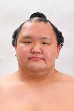 　北勝富士