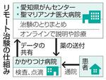 　リモート治験の仕組み