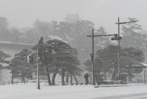 24日午前9時25分ごろ、松江市殿町