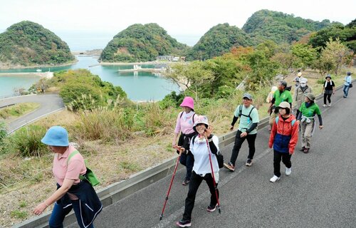 眼下に広がる居組漁港を眺めながらウオーキングを楽しむ参加者＝１４日、兵庫県新温泉町居組
