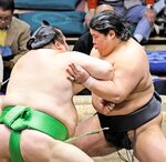 千代丸（左）を攻める伯桜鵬。寄り切りで破り、６勝１敗の好成績を収めた＝両国国技館
