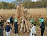 　大阪・関西万博のユニホームの生地に使用するため、刈り取られた琵琶湖岸に群生するヨシ＝７日午前、滋賀県高島市