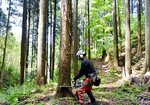 町内の山林で伐採作業をする林業従事者。担い手確保が課題だ
