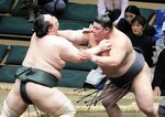 再出場した１３日目に白鷹山（左）を攻める伯桜鵬。寄り切りで破り４勝目を挙げた＝両国国技館