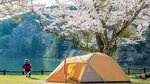 池のほとりでゆったりとした時間を過ごすのも良し