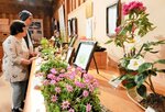 「らんまん」コーナーには、ドラマに登場した植物の作品が並ぶ＝智頭町智頭の石谷家住宅