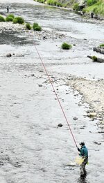 長いさおを操って初物を狙う釣り愛好者＝１日、新温泉町の岸田川