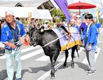 秋晴れの下、盛大に会場を練り歩く花嫁行列＝２４日、新温泉町丹土の県立但馬牧場公園