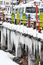 厳しい冷え込みで大きく成長したつらら＝７日、新温泉町湯