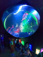 幻想的にライトアップされた水槽＝１３日、境港市竹内団地の夢みなとタワー