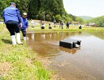水田を動くアイガモロボット＝２０日、日南町折渡