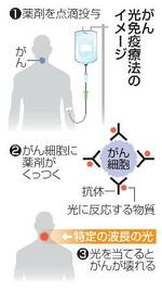 　がん光免疫療法のイメージ