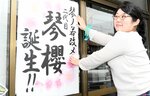 「琴桜」の襲名を祝う張り紙を掲示する琴桜記念館のスタッフ＝３０日、倉吉市魚町