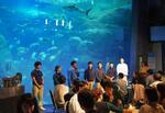 　「Ｂｉｓｔｒｏえのすい」のトークコーナーに登壇したシェフや江の島水族館の飼育員ら＝２０２４年１１月１７日、神奈川県藤沢市