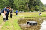 水田を動き回るアイガモロボット