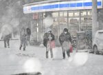 雪が舞う歩道を歩く市民＝２４日午後３時４０分ごろ、ＪＲ鳥取駅南口