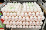 あの手この手で消費者に不安を与えないように積み上げられた卵売り場＝１６日、鳥取市内のスーパーマーケット