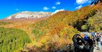 見頃を迎えた大山の紅葉にカメラを向ける行楽客＝３１日、鳥取県江府町大河原の鍵掛峠展望駐車場