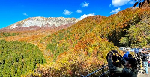 見頃を迎えた大山の紅葉にカメラを向ける行楽客＝３１日、鳥取県江府町大河原の鍵掛峠展望駐車場