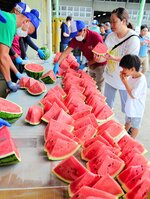  人気の無料食べ放題コーナーでスイカを味わう来場者＝１日、鳥取県北栄町妻波の大栄西瓜選果場 