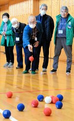 障害の有無や世代に関係なく、ボッチャを楽しむ参加者