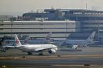 　羽田空港のスポットに並ぶ日航機＝２０２４年１２月