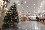 　閑散とした土産物店に飾られたクリスマスツリー＝１１月、ヨルダン川西岸ベツレヘム（共同）