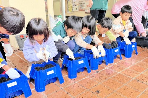 優しく土をかぶせて球根を植える子どもたち