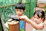 ヘラクレスオオカブトを触る子どもたち＝１６日、湯梨浜町の中国庭園燕趙園